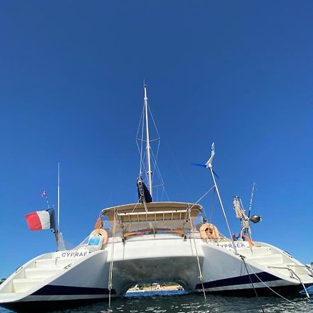 Catamaran Cypraea Hotel Terre-De-Haut Bagian luar foto