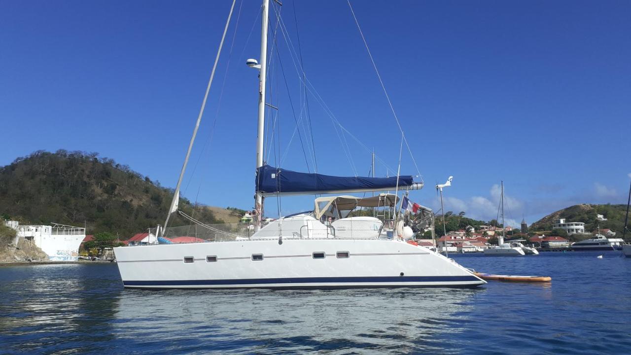 Catamaran Cypraea Hotel Terre-De-Haut Bagian luar foto
