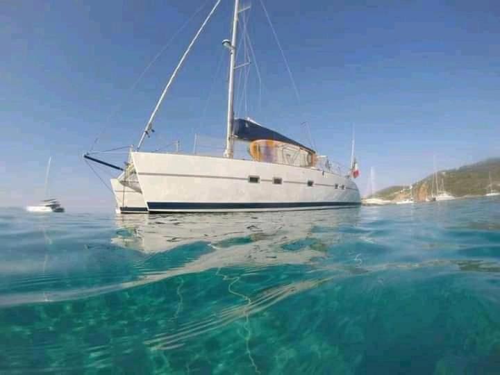 Catamaran Cypraea Hotel Terre-De-Haut Bagian luar foto