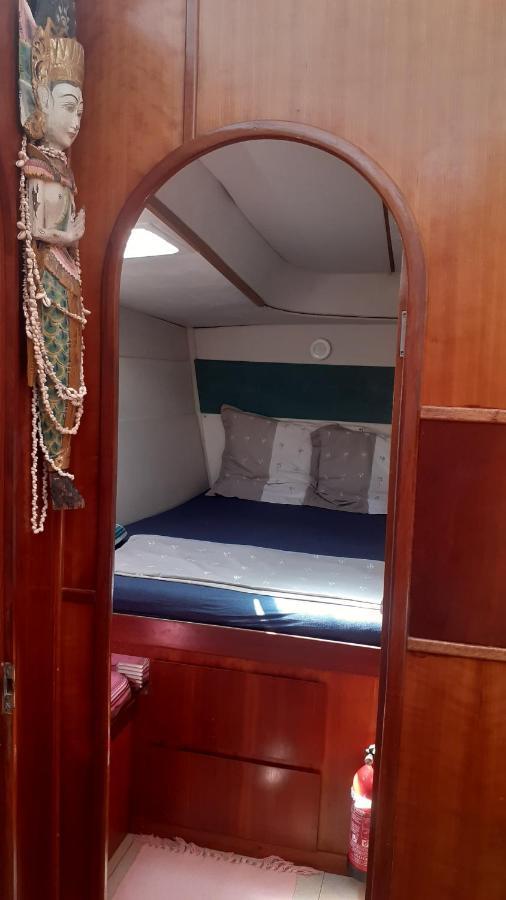 Catamaran Cypraea Hotel Terre-De-Haut Bagian luar foto