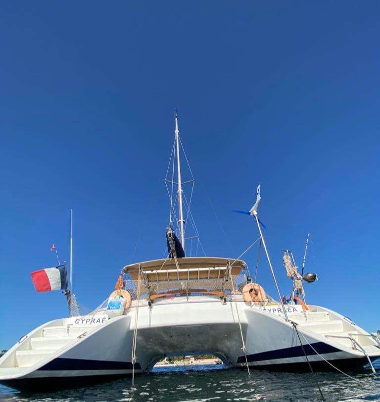 Catamaran Cypraea Hotel Terre-De-Haut Bagian luar foto