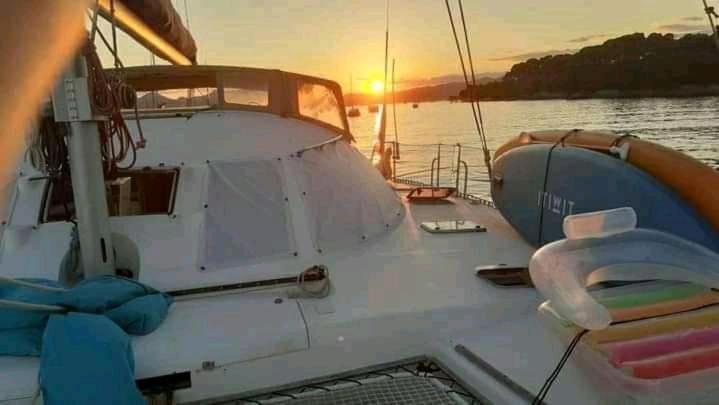 Catamaran Cypraea Hotel Terre-De-Haut Bagian luar foto